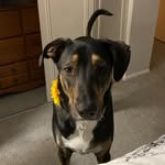 Dexter Nolan - @sexydexy22 - Instagram