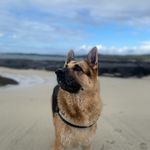 Dexter Norman - @dexternormangsd - Instagram