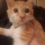 Dexter - @dexter_norton420 - Instagram