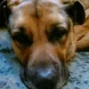 user3740361119901 - @dexterharveyoakley - TikTok