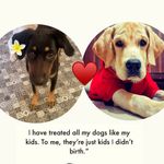 DEXTER & OLIVE Mahajan 🐶🐶 - @dexter.the_lab - Instagram
