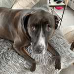 Dexter Orr - @the.dexter.diaryz - Instagram