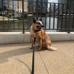 Dexter Owens - @dexter.jones_bones - Instagram