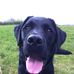 Dexter Padgett - Facebook