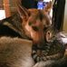 Dexter Palmer - Facebook