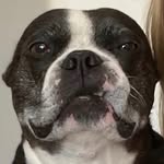 Dexter Patterson - @dexterdingdong - Instagram
