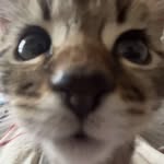 Dexter Patterson - @dex_jp_ - Instagram