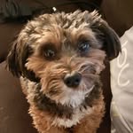 Dexter Pearson - @dexter_pearson_1 - Instagram