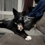 Dexter Perkins - @t.dex22 - Instagram