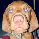 Dexter Wentworth Perkins - @_dexagram - Instagram