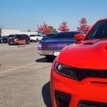 Dexter - @dexterpeters49 - Instagram