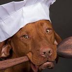 Dexter Petersen - Facebook