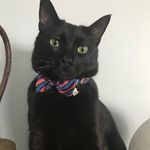 Dexter Potter - @dexter.potter - Instagram