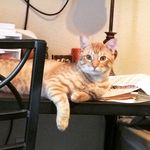 Dexter Potter Kohler - @dexterpotter.k - Instagram