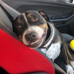 Dexter Dobby Powell - @dexterdobby - Instagram