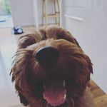 Dexter Powell - @dexter_doodle_powell - Instagram