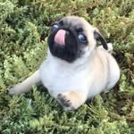 ᴘʀᴇsʟᴇʏ - @presleypendexter - Instagram