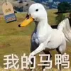 user9874563102841 - @dexterpruittbyu7yp - TikTok