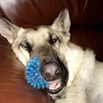 Dexter Rainey - @dex.thebest - Instagram