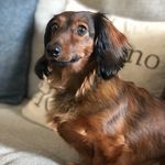 Dexter.Ray - @_dexterray_ - Instagram