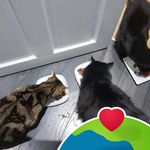 Dexter Morris Reed - @dexter.reed - Instagram