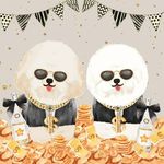 Dexter Rich & Dixon Rich - @dexterdixon.poodlerich - Instagram