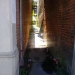 Dexter Riggs - Facebook