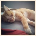Dexter Riggs - @dexterriggs584 - Instagram