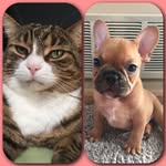 Chloe & Dexter Riley - @queen_chloe_and_dexter_ramon - Instagram