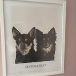 Dexter 🪽& Riley - @dexter.riley1525 - Instagram