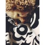 Dexter Riley - @dexter.riley - Instagram