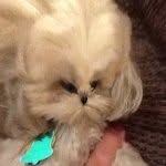 Dexter Riley - @dexter_riley - Instagram