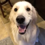 Dexter Riley Schmidt - @dexterrileyofthegreatlakes - Instagram