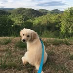 Dexter Riley Woelke - @dexterofthemountains - Instagram