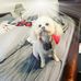 Dexter Robertson - Facebook