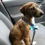Dexter Robson - Facebook