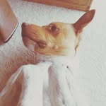Dexter Rodney Cooper Smith - @dexterrodneycooper - Instagram