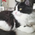 DexterRomo - @dexterromo - Instagram