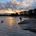 Dexter Rowe - @dexrowe - Instagram