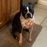 Dexter Rubin - @dexter.rubin1111 - Instagram