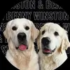 Dexter Seeds - @dexter.seeds - TikTok