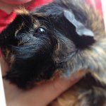 Dexter Sullivan - @dexter_sullivan_ - Instagram