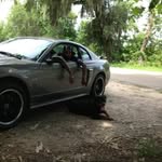 Dexter Sutton - @mustang_sutton - Instagram