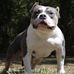 Dexter Thompson - Facebook