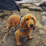 Dexter Thompson - @dexterthompson18 - Instagram