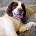 Dexter Thompson - @the_life_of_dexter1 - Instagram
