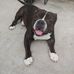 Dexter Thompson - Facebook