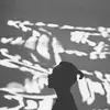 Dexter Wang709 - @user4169686778327 - TikTok