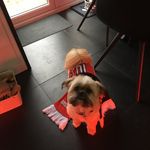 Dexter Weeks - @dexterweeksxo.xo - Instagram
