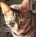 Dexter Weeks - Facebook
